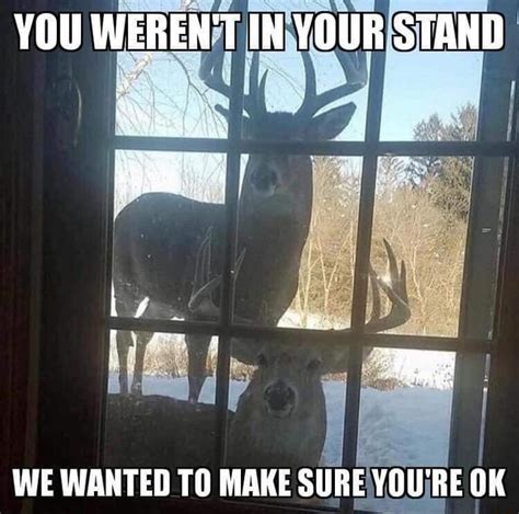 It seemed like all of a sudden the deer weren’t there .